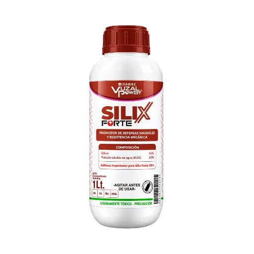 VUZAL POWER - SILIX-FORTE - 1LT
